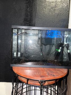 Fish tank for gator gar
