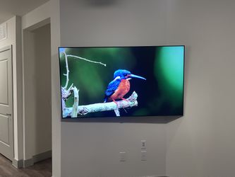 TV Wall Mount
