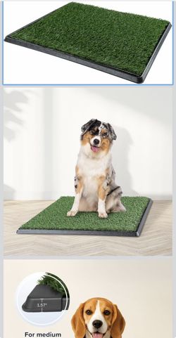 Pee pad holders and pee artificial grass pads