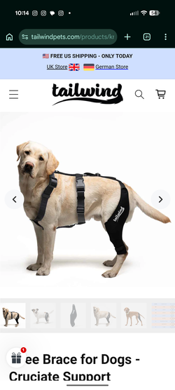 Knee brace support for dogs