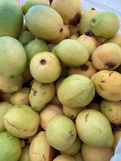 Organic guavas