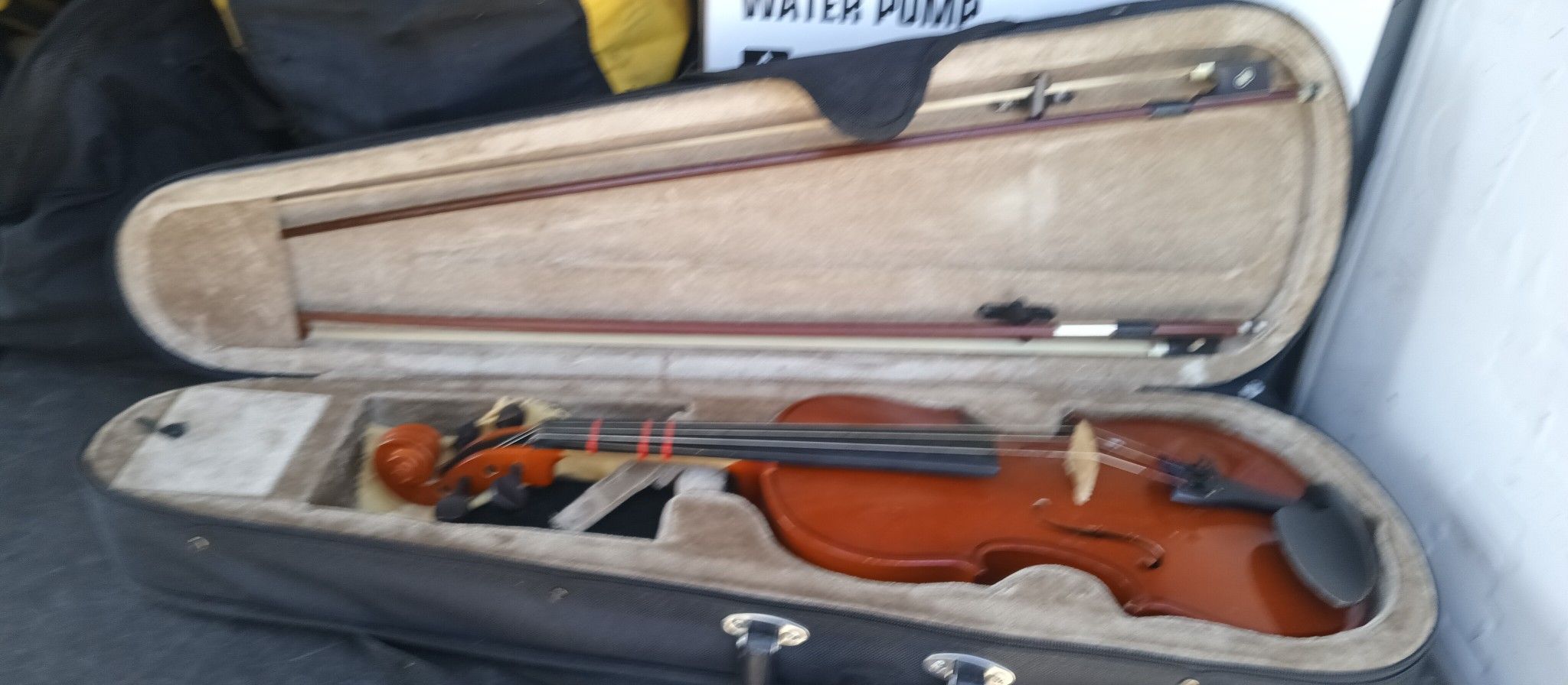 Violin
