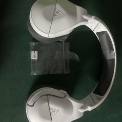 Turtle Beach 