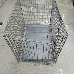 Dog 🦝Cage Large