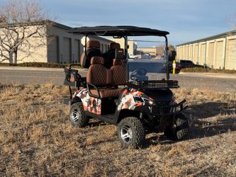 New Electric Golf Cart