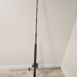 Fishing rod with penn reel