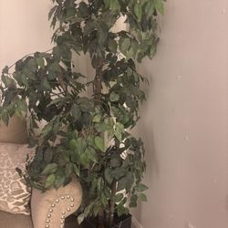 6 Ft Faux Tree