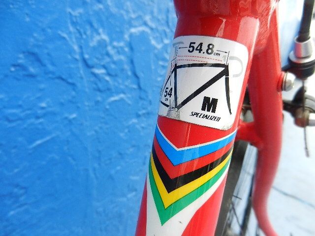 En14781 hotsell specialized allez
