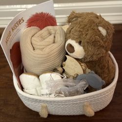 Newborn Gender Neutral Bear Themed Baby Shower Gift Basket
