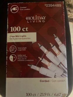 100 ct Clear Mini Lights