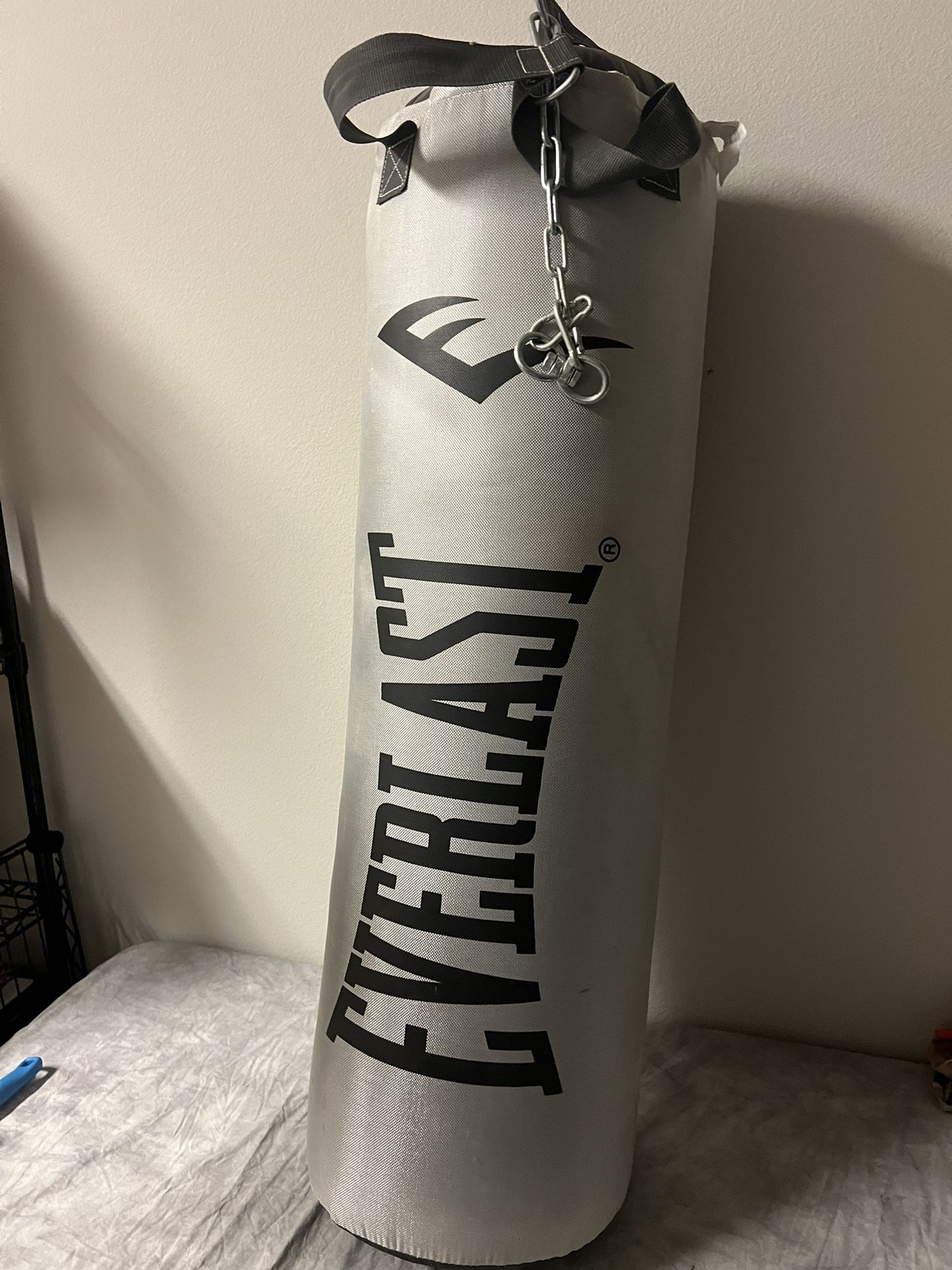 Everlast Punching Bag With Gloves