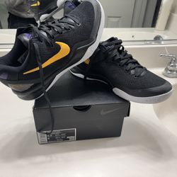 KOBE VIII PROTRO