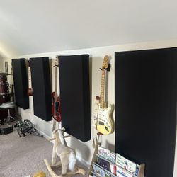 Acoustic Panels (4’x2’) / Bass Traps