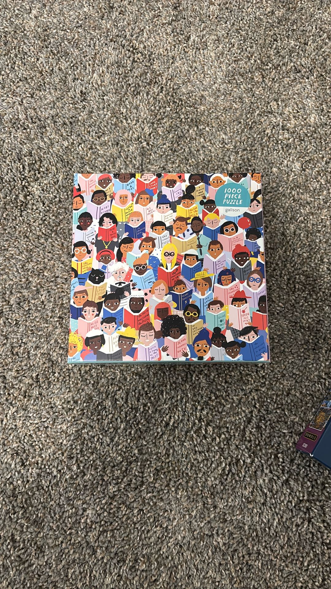 1000 Piece Puzzle