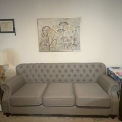 Living Room Couches 