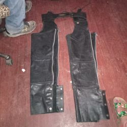 Harley Davidson Chaps 