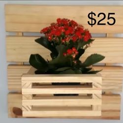Wall Plant/candle Holder