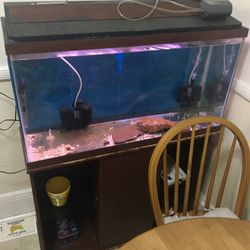 30 Gallons Full Set Up $150