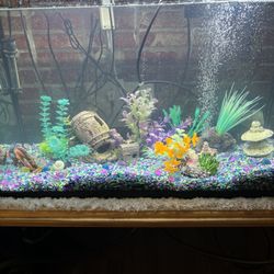 30 Gallon Fish Tank with everything you need except the fish 