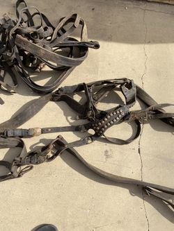 Vintage Draft Horse Harness Outfit Circa 1920's: Cast Iron Hames with Stainless Balls, Top Grain Leather, Copper Rivets, Rusty Hardware