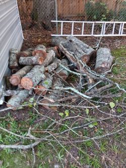 Cut Firewood Logs and Branches