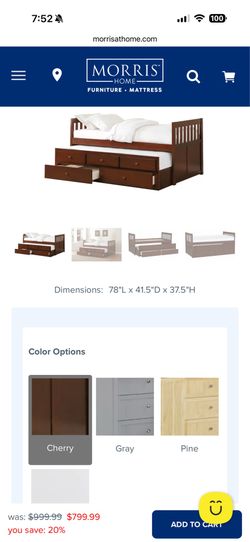 Twin pull out bed