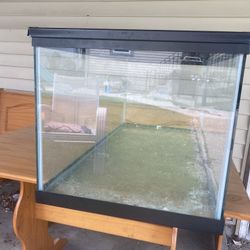 Selling Big Reptile And Aquarium Tank