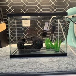 Beta fish tank, heater, filter