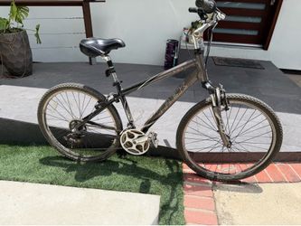 Trek cruising bike