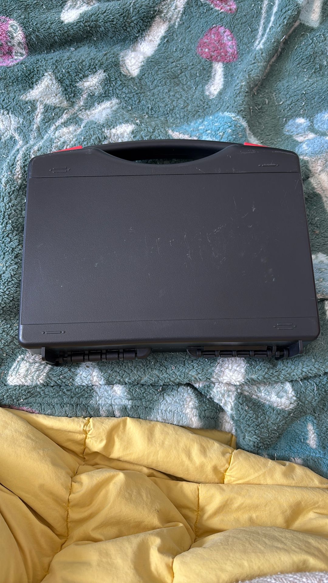 Mic Case, Plastic With Foam