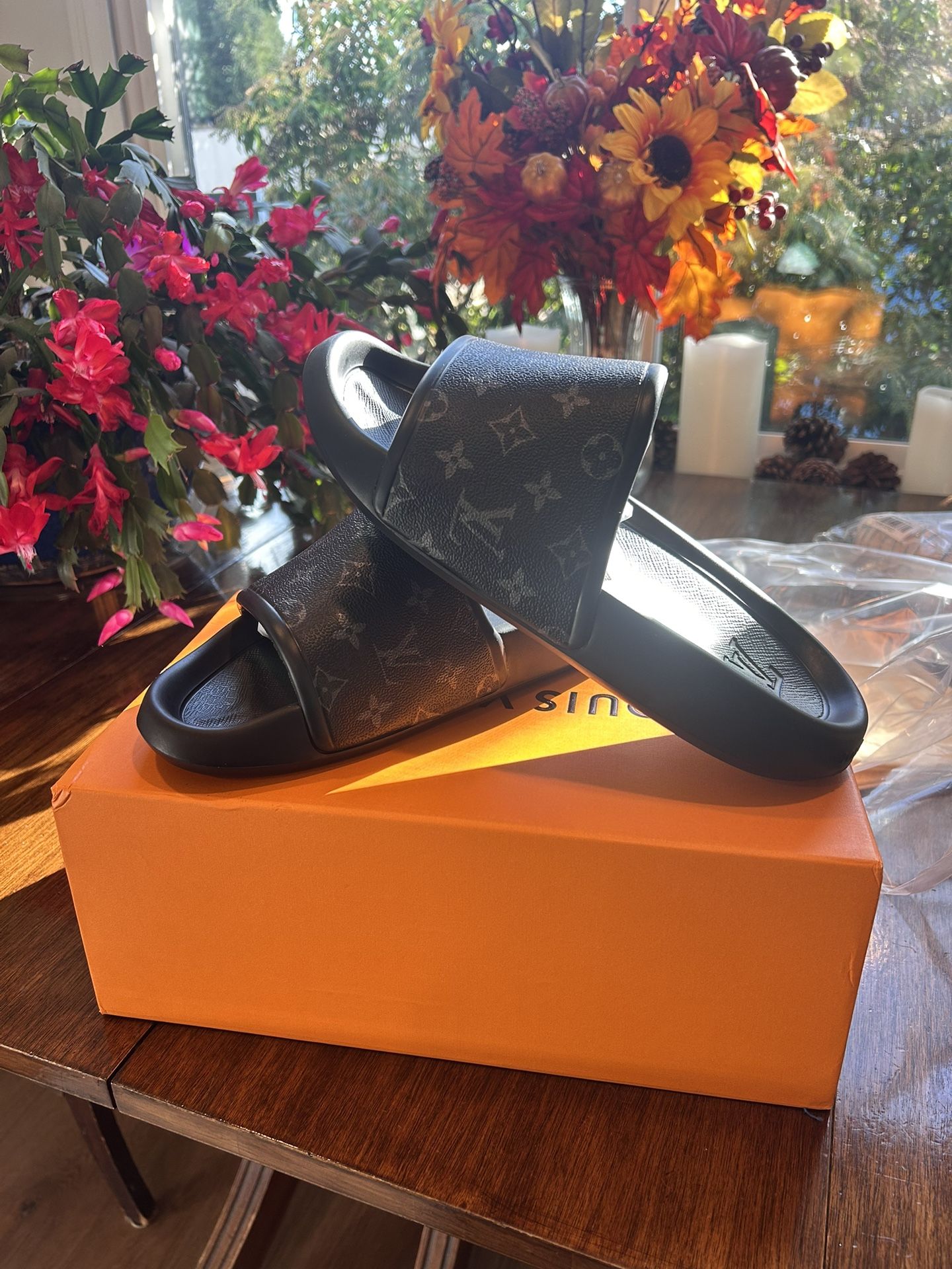 Louis Vuitton Slides