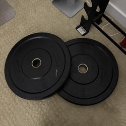 25lb Rubber weight pair