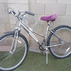 Bike Schwinn