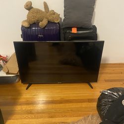 43 Inch Flat Screen TV