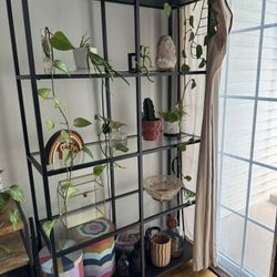 Ikea Vittsjo Bookcase - $50 OBO
