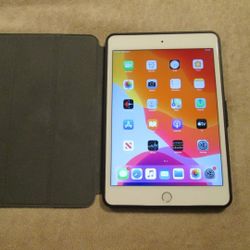 Ipad Mini 5th Generation Wifi + Cellular 256gb With Flip Cover Case

