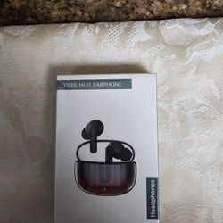 Hi-Fi Earphone