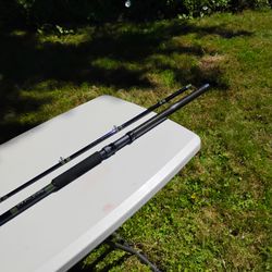 Baston Custom RDR100H Downrigger Rod
