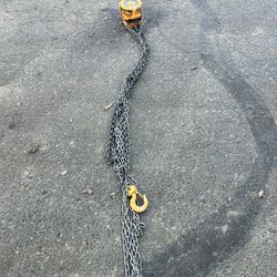 1 Ton Chain Fall 20 Ft Lift