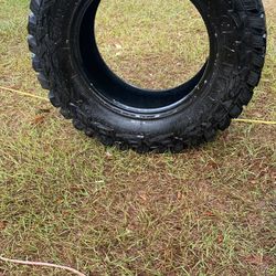 Mud Grapplers 