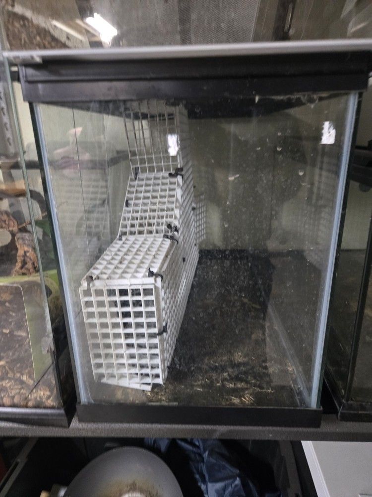 20 Gallon Standard Glass Tank