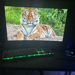 Pc/gaming Set Up 