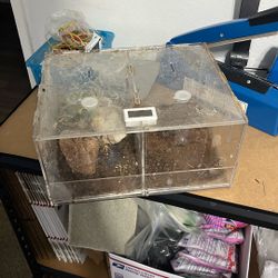 Reptile Terrarium 