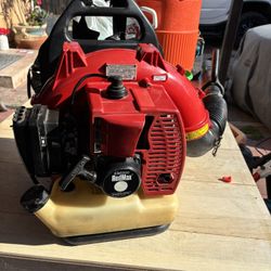 Leaf Blower Echo
