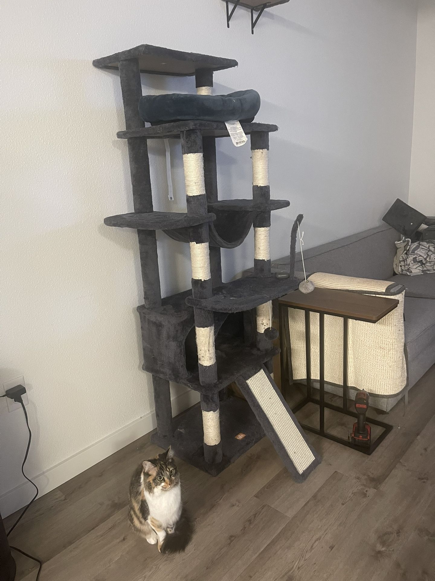 Cat Tower