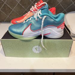 LeBron 22 size 10 Brand new