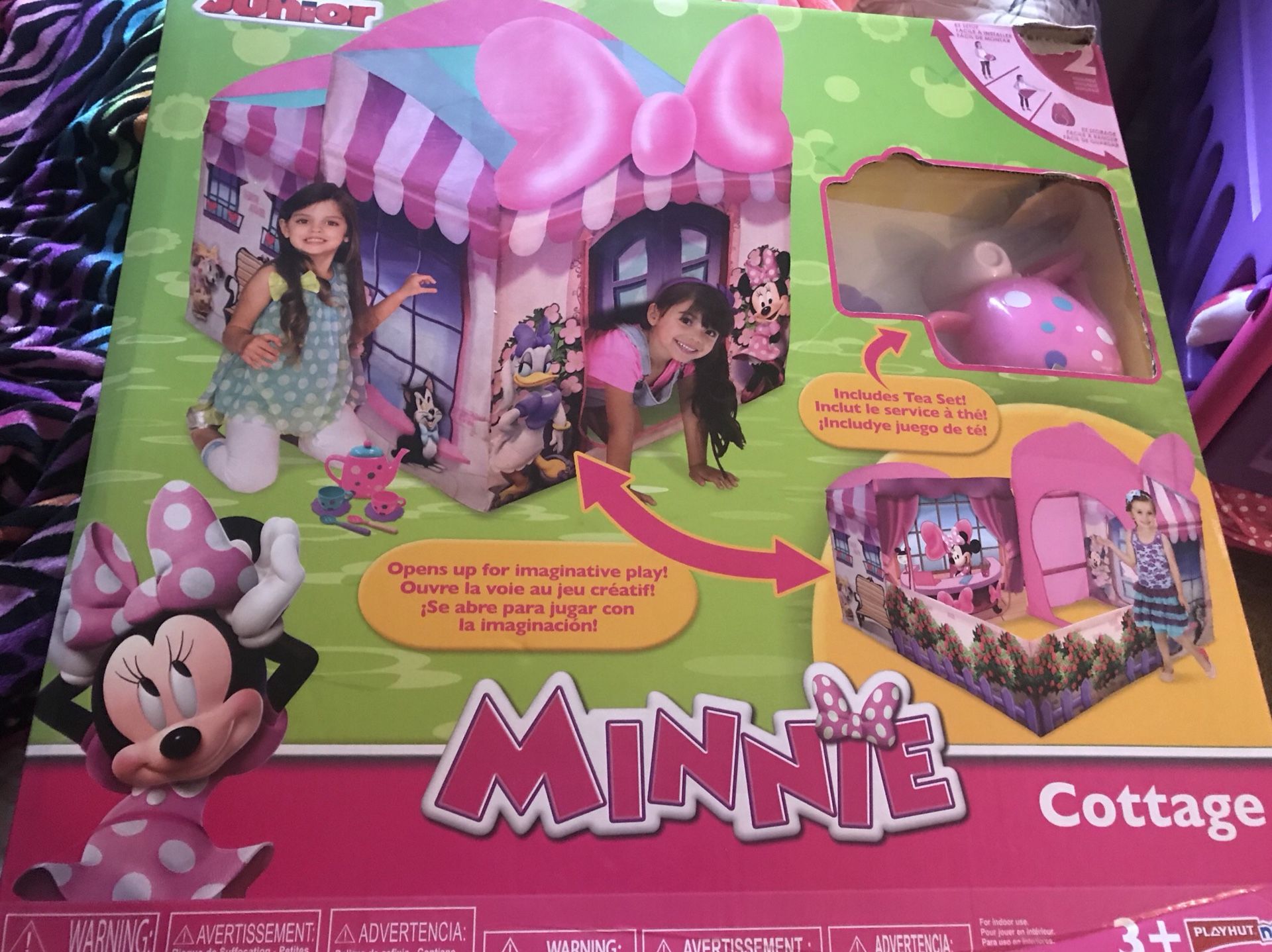 Minnie mouse cottage box