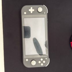 Switch Lite Gray