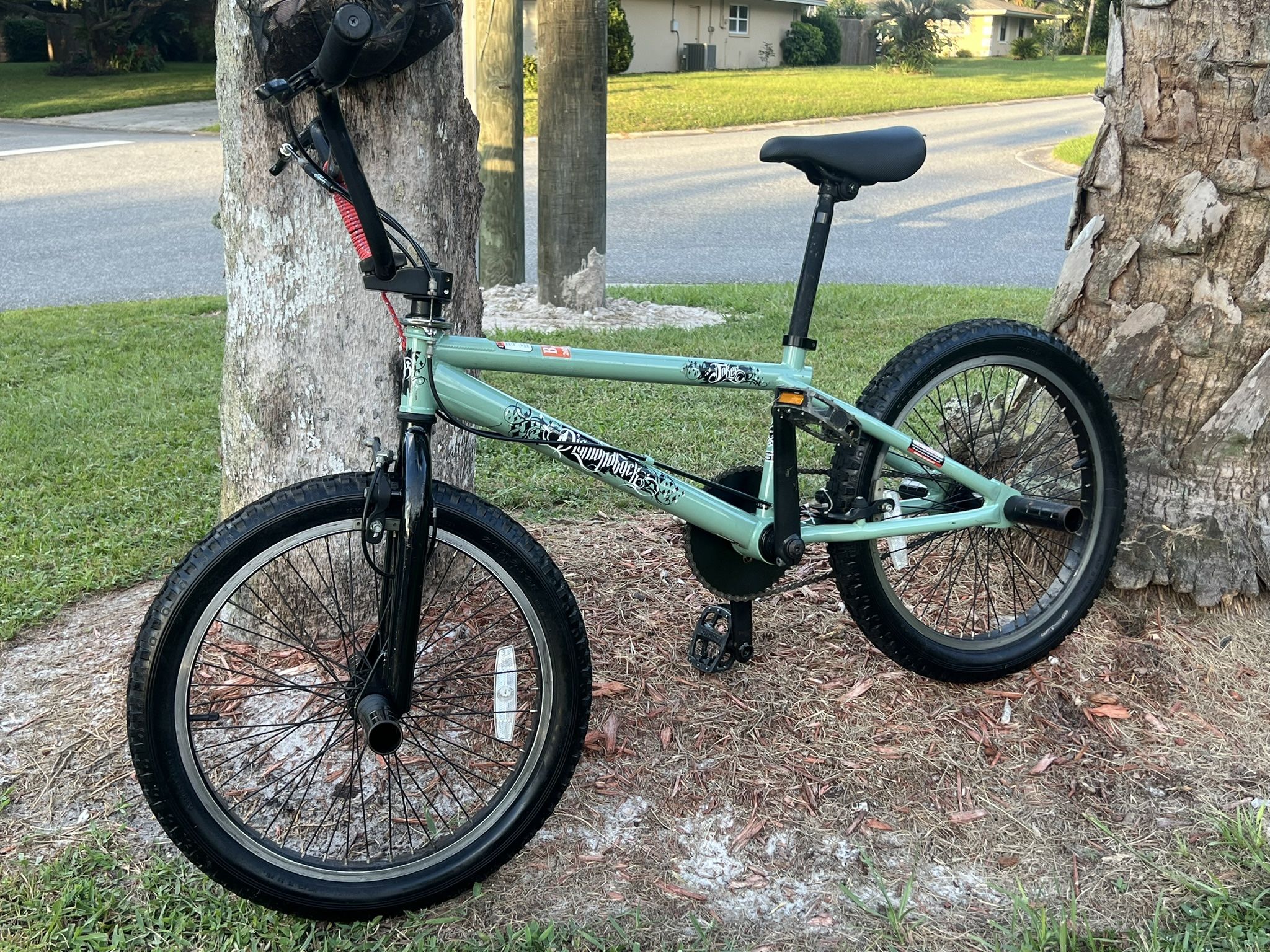 Bicycle Bmx Freestyle 20 Inch For Sale