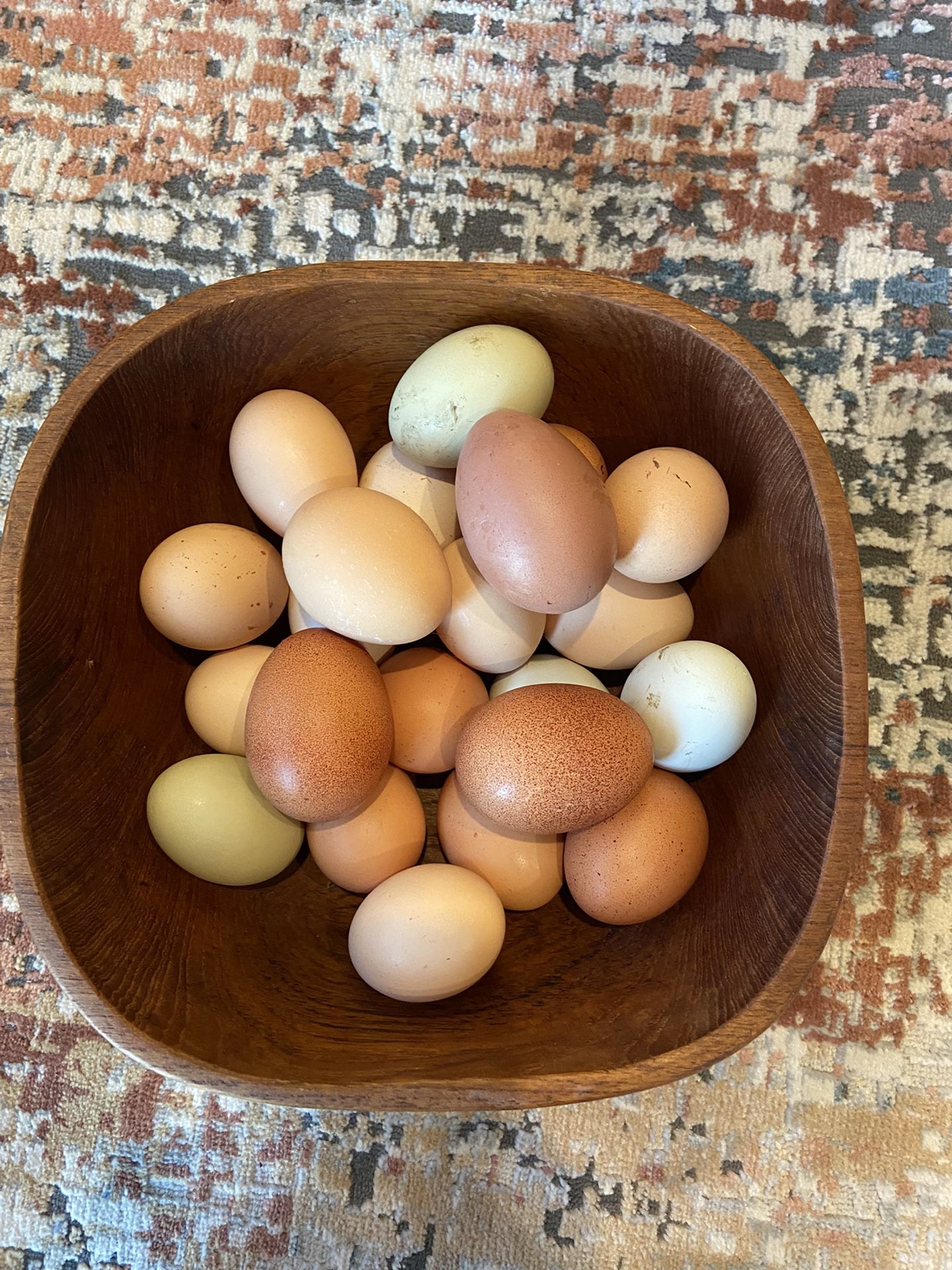 Fresh Chicken Eggs 🥚